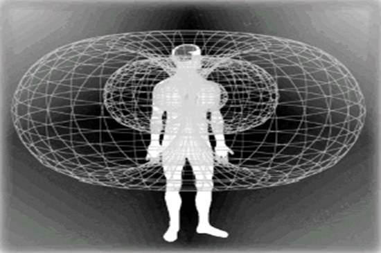 المجال المغناطيسى للقلب البشري يفوق المجال المغناطيسى للمخ بحوالي 5000 مرة بينما تصل قوة المكوِّن الكهربائي به لأكثر من 60 مرة أقوى من كهربائية المخ