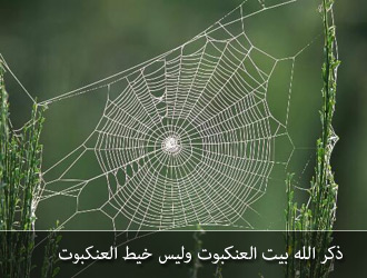 أو ه ن ال ب ي وت خاطرة في محاولة فهم هذا التعبير القرآني حبل الله